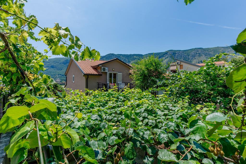 Spacious Central Magik Kotor Exterior foto